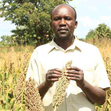 barley-farmer